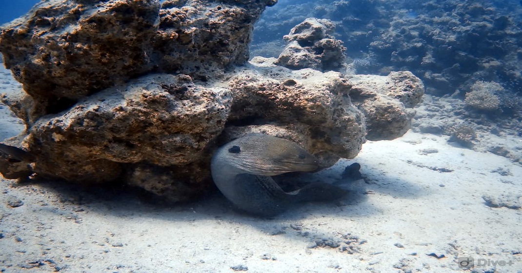 Marsa Mubarak excursion in Marsa Alam Egypt  